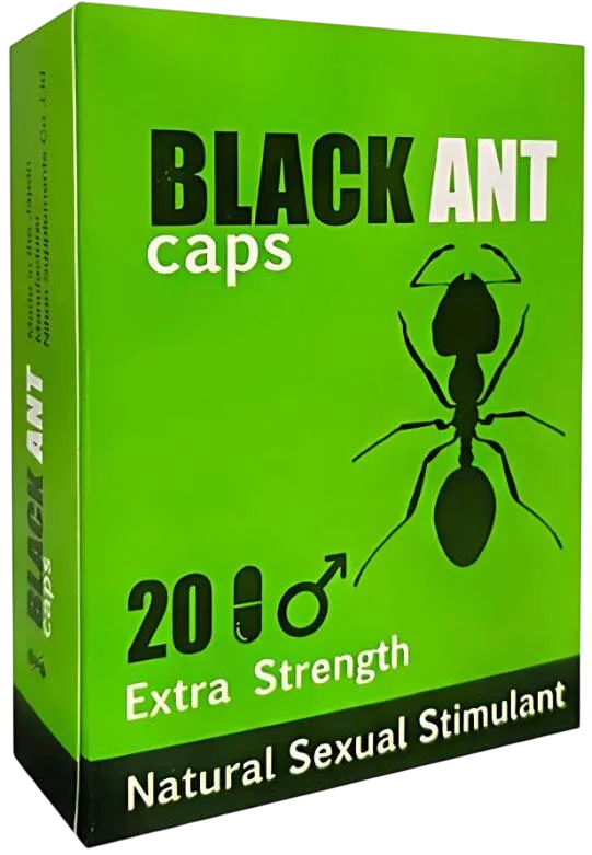Black Ant