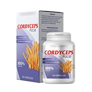 Cordyceps Pulse memory Προϊόν