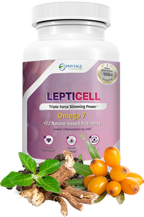 LeptiCell